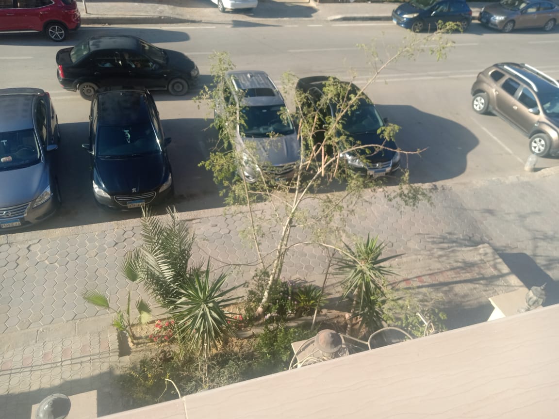 شقة فى النرجس عمارات 