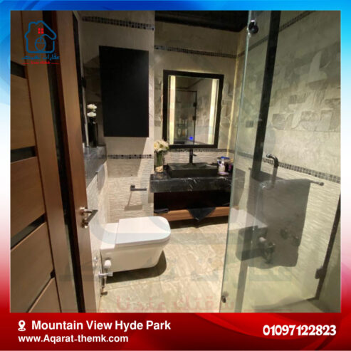 Mountain View Hyde Park apartment