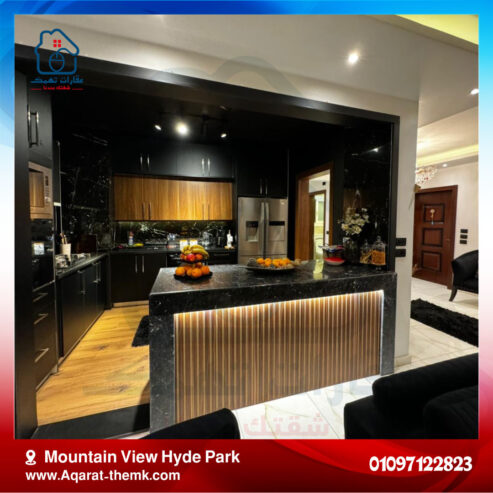 Mountain View Hyde Park apartment