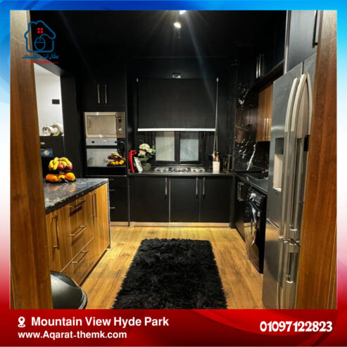 Mountain View Hyde Park apartment