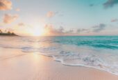 Creast Mark Resort Ain Sokhna Prices and Details